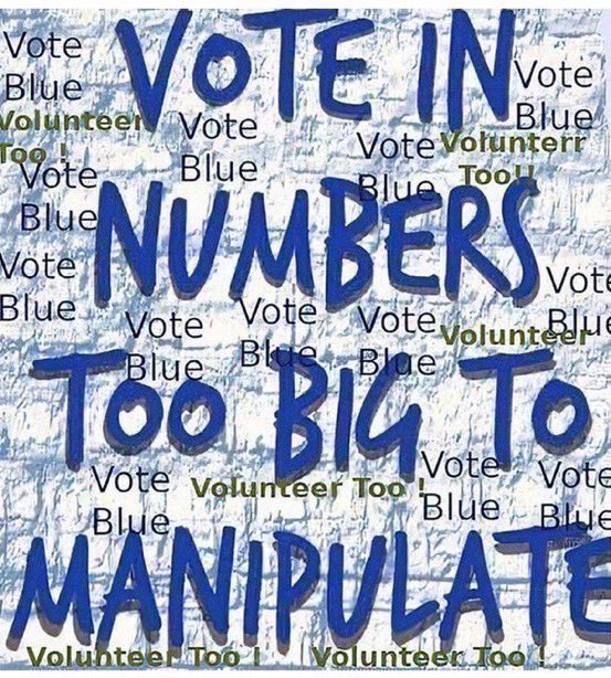 MyaVoice1's tweet photo. @cbouzy @sjames0227 @JoyAnnReid The only poll that counts is the one on Election Day. https://t.co/FsI7wyUrG1
