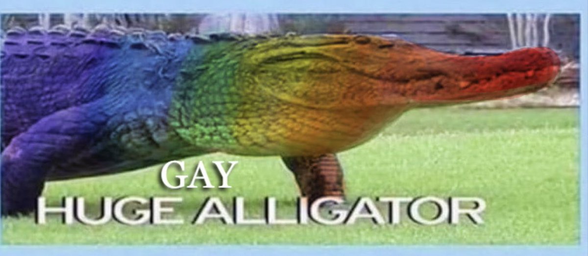 GatorsDaily's tweet photo. https://t.co/wU9jAyUdTG
