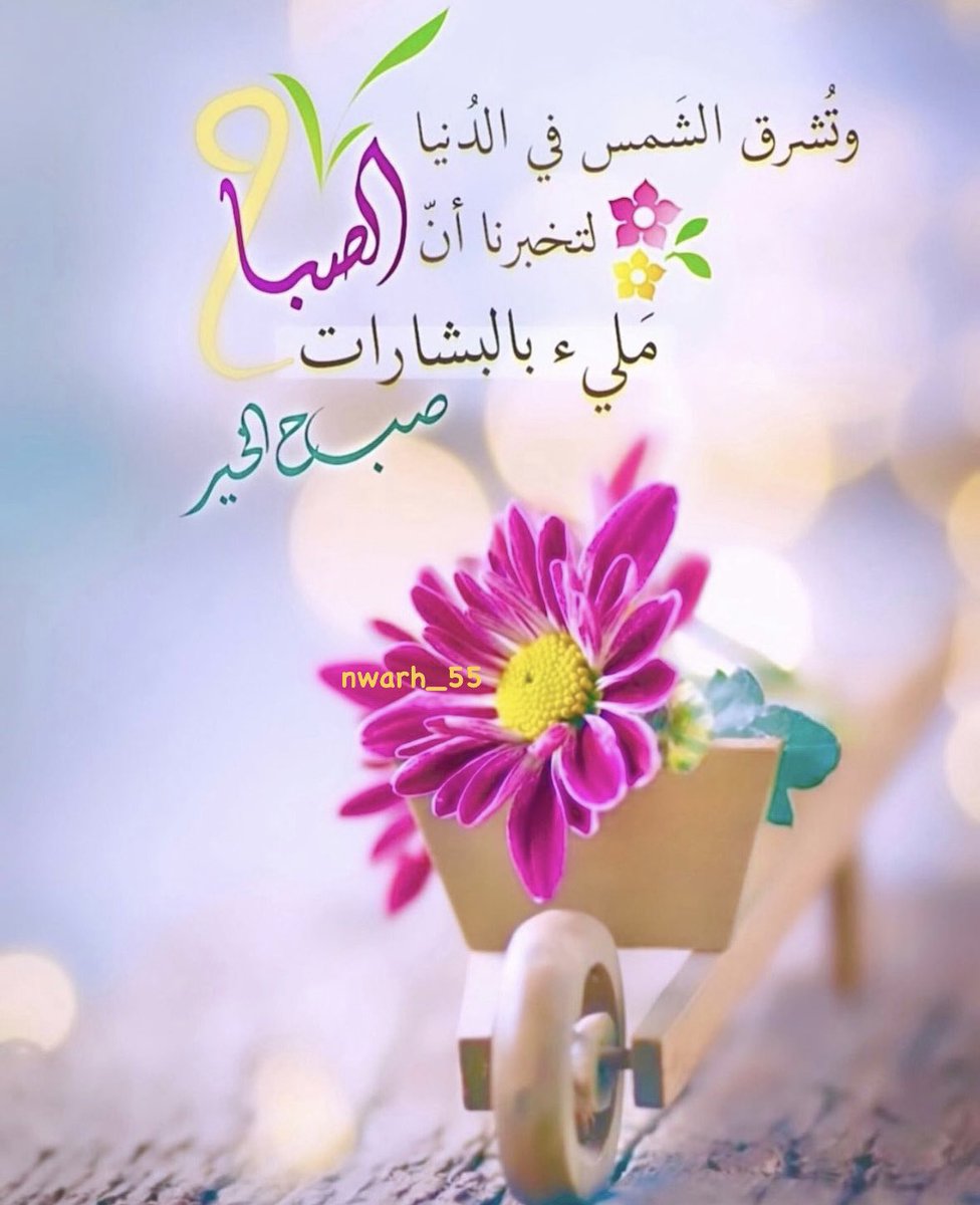وتُشرق الشمس بالدُنيا لتخبرنا 
أنَ الصباح مَلئ بالبشارات
#صباح_الخير 
#يخبرني_الصباح