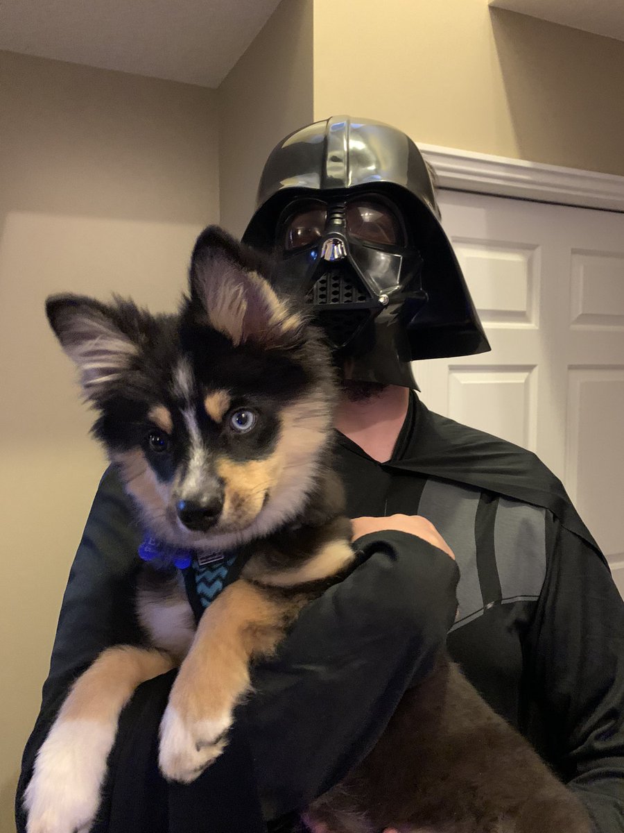 Our little pup absolutely would not wear her dragon costume, so Todd decided she could be an Ewok to his Darth Vader. Happy Halloween! 🎃