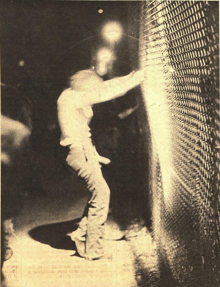 Left in the Bay tweet media