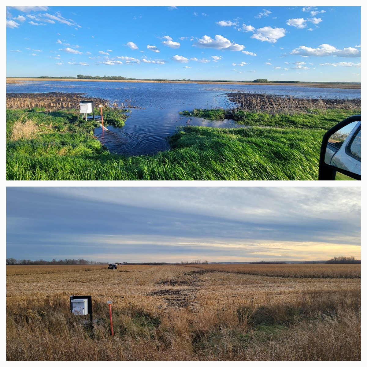 This field was flooded 3 times after planting and the last time was june 15th. Today we are harvesting 23% corn with great yield. Surface drainage helps and tile allowing roots to go down after the big rain events ended. Also 🌽its corn! 🌽it has the juice. <a href="/Precision_Land/">PLS</a>