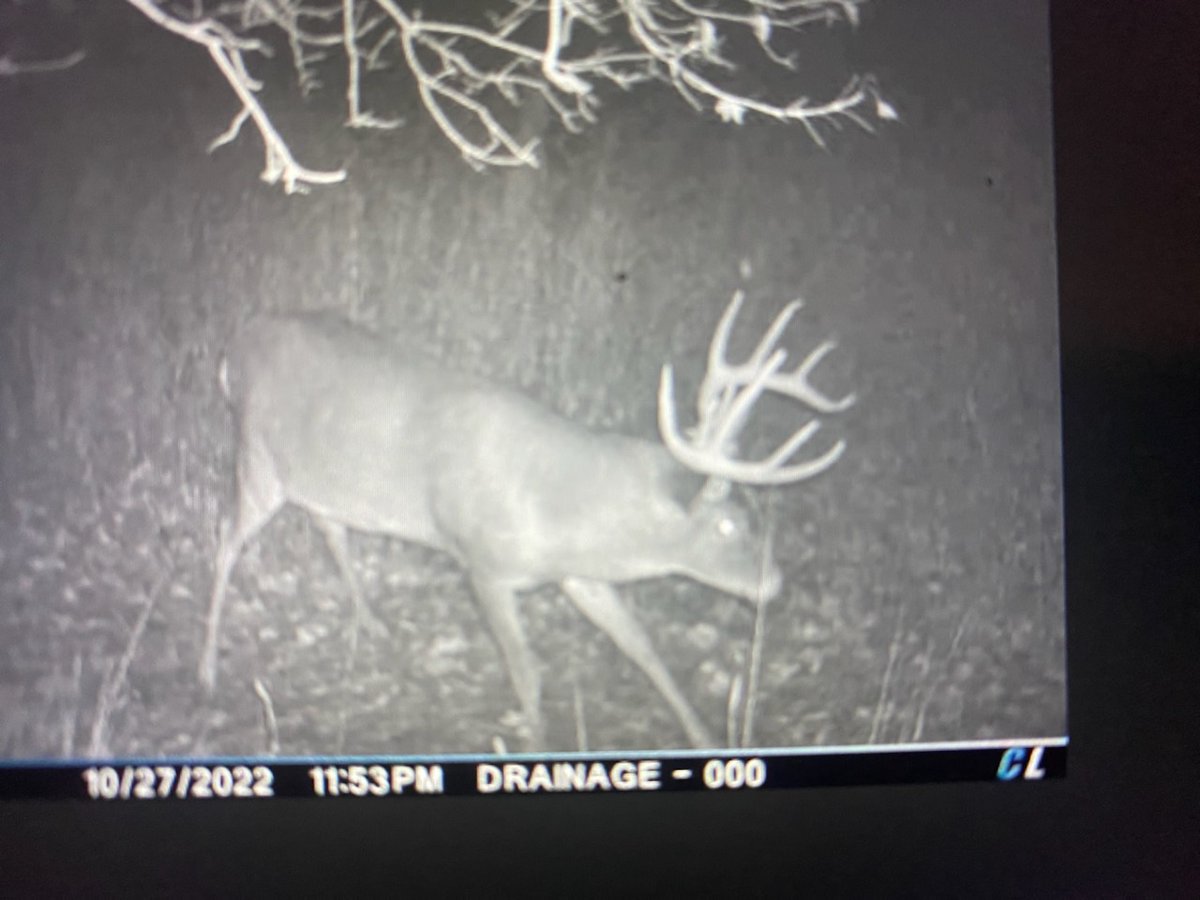 LoveoftheHuntTV's tweet photo. Looking for a good one in KS! https://t.co/cwh09rl3z8