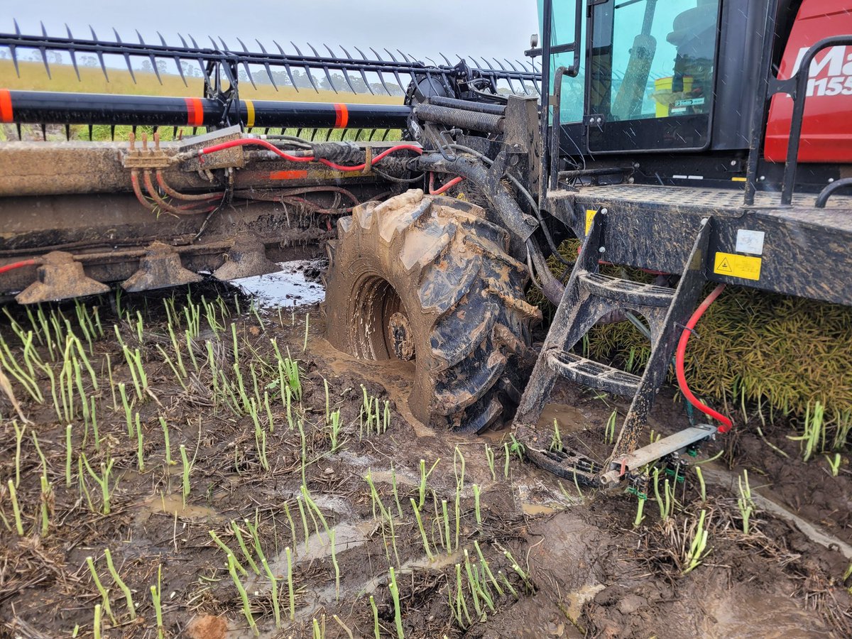 Craig Inkster tweet media