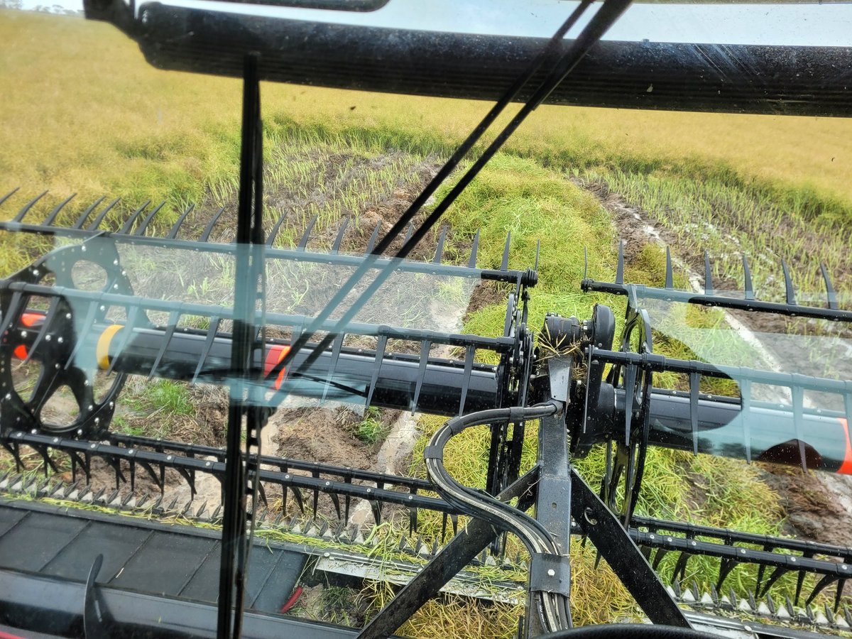 Craig Inkster tweet media