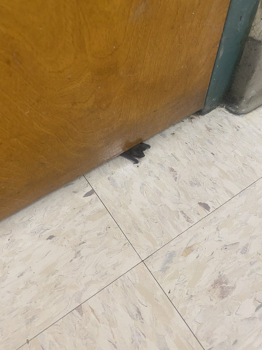 jenna watson tweet media