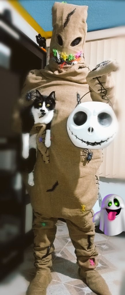cat_rasmus's tweet photo. This is Magic #HappyHalloween #CatsOfTwitter https://t.co/72BMaqKjQx