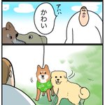 すごく愛されているのが分かる!ある言葉を自分の名前だと思っている愛犬のお話を描いた漫画が話題に!