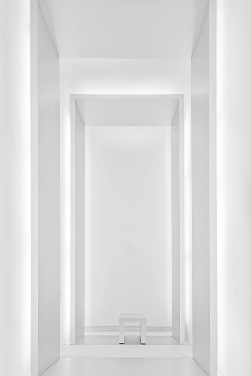 archillect's tweet image. 