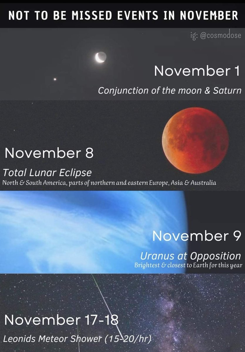 Crypto Nation 🌍🚀🛸🇮🇳 (@crypton89484467) on Twitter photo 