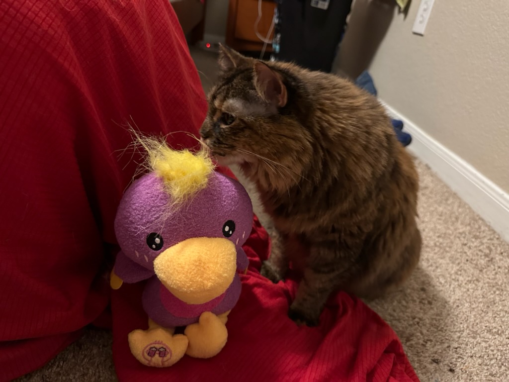 RadicalMoron's tweet photo. @AplatypussTV 
I came home to my cats enjoying Lil B. https://t.co/hEzZqe2mGW