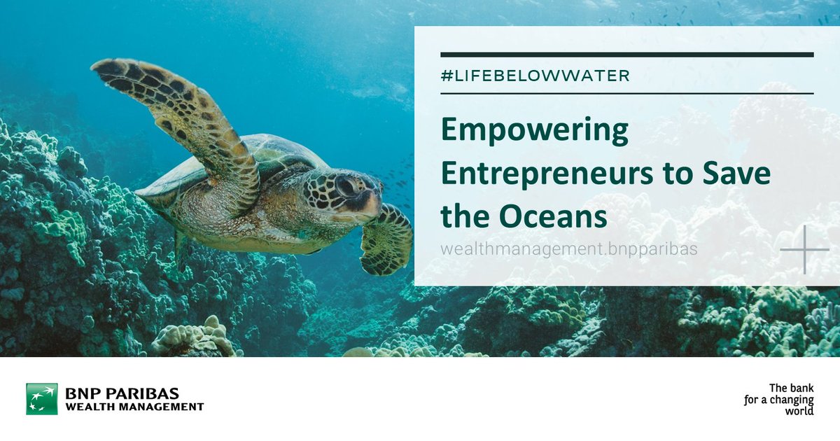 Healthy #oceans are good for the planet, can they also be good for business? A growing number of start-ups are looking to mobilise capital for innovative #business models based on marine technology. Read more bnpp.lk/0Gnwzb #SDG14 #LifeBelowWater