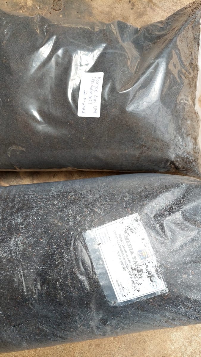 SNVIndonesia's tweet image. Proper processing can turn faecal sludge into something valuable while reducing #methaneemission. Together w/ the #faecalsludgetreatmentplant operator in Metro, we use #vermicomposting to convert #faecalsludge into organic compost &amp;amp; contributes to #climatechangeadaptation efforts