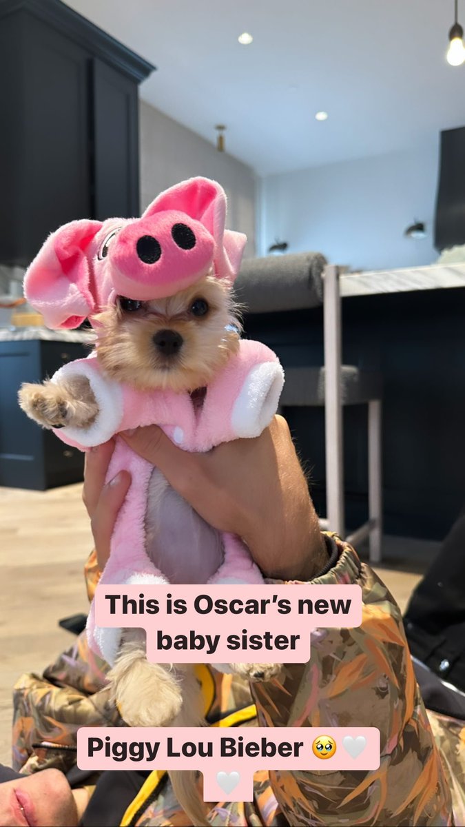 fontesbieber's tweet photo. CONFIRMADA!

"Essa é a nova irmã de Oscar. Piggy Lou Bieber"

— Hailey Bieber em seu story do Instagram. https://t.co/vll0KXBvRH
