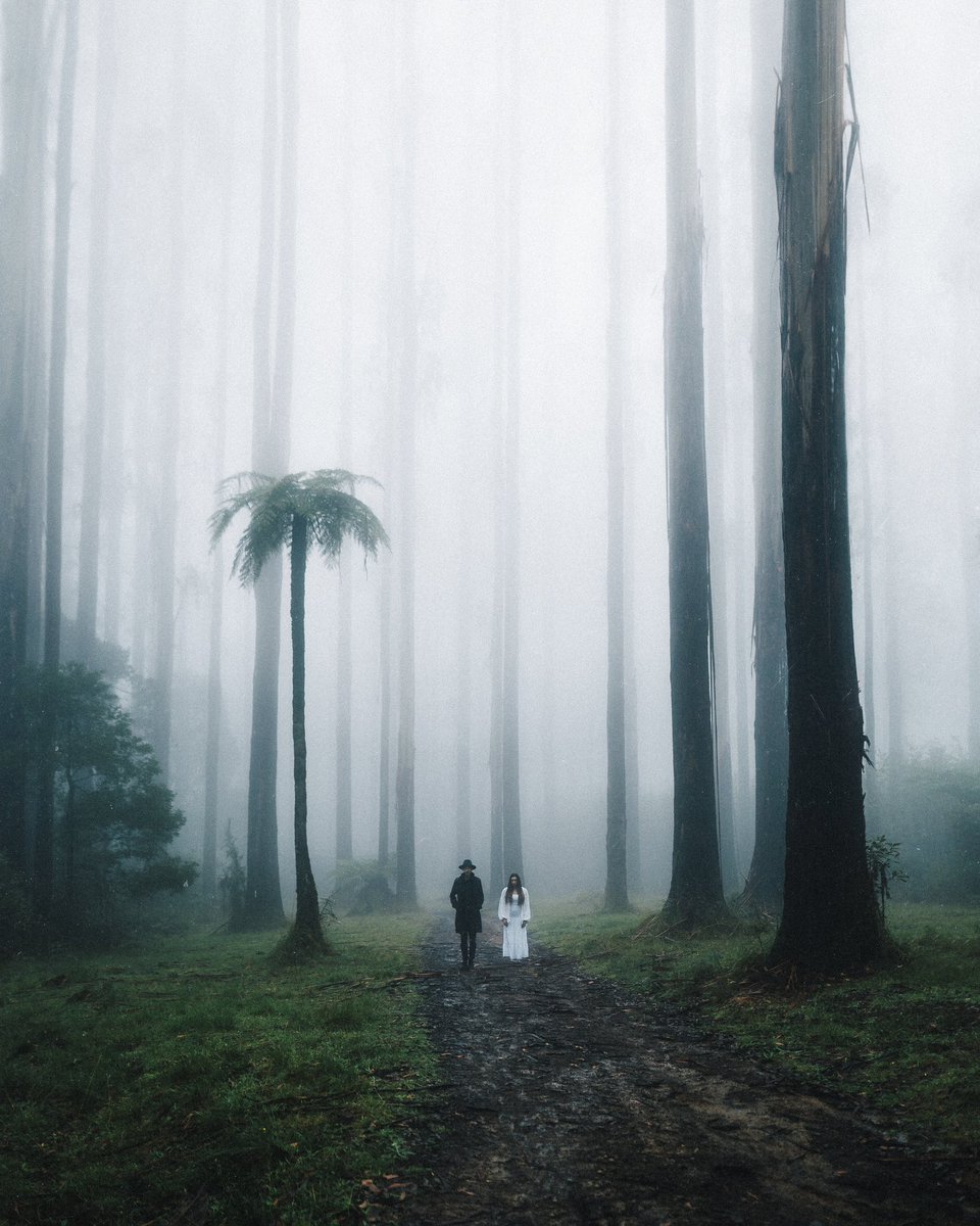 FinMatson tweet media