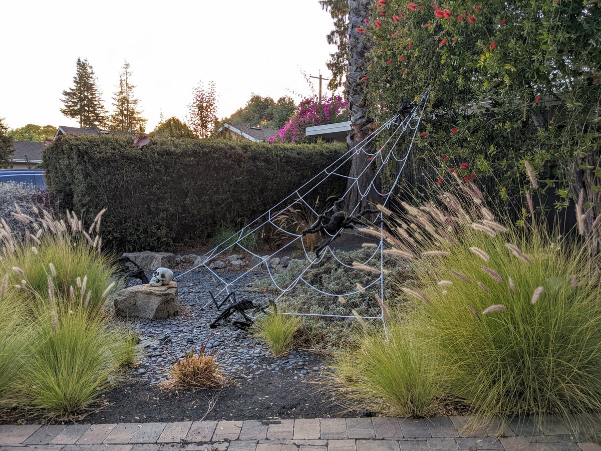 Matt Austern (@austern.bsky.social) tweet media