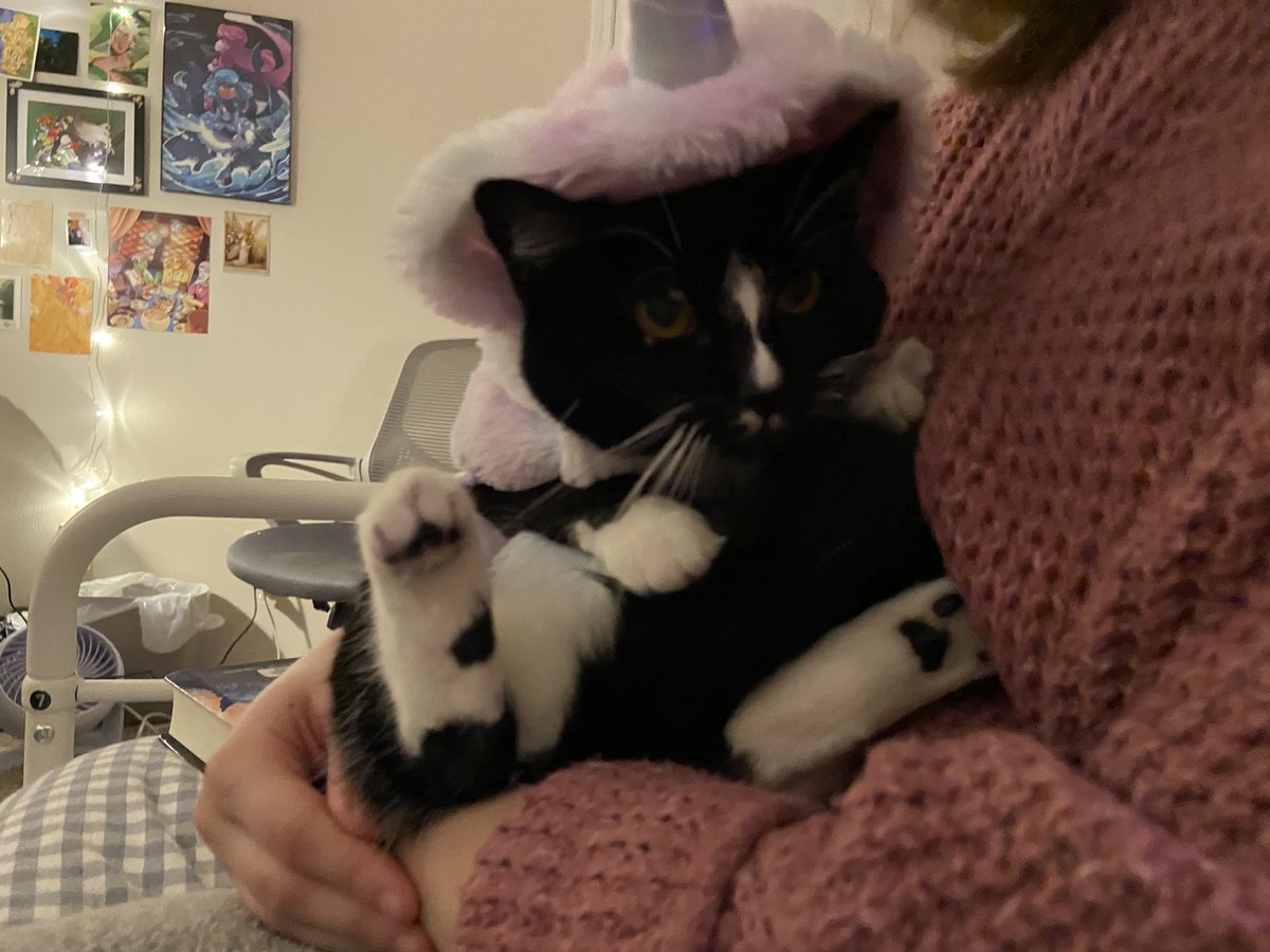 malalaisee's tweet photo. happy halloween :) https://t.co/HJAvhEG0IV