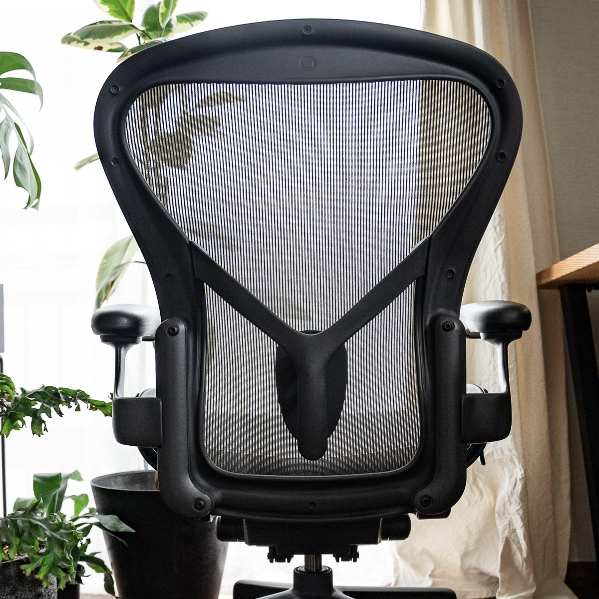 tatsutoron's tweet photo. HERMANMILLER 
Aeron Chair Lite
売りますので興味ある方はDMください🙋‍♂️ https://t.co/KxbHRfFG8Y
