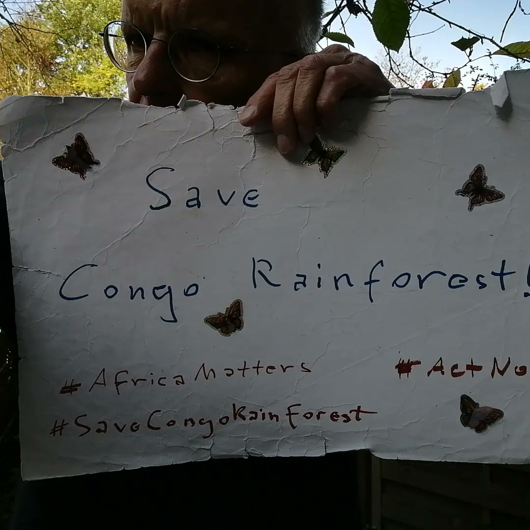 endelstamberg's tweet image. SaveCongoRainforest Day 965

#SaveCongoRainforest 
#SaveCongoForest_Flora_Fauna🌴🦍 #AfricaMatters #IndigenousLivesMatter 
@SaveCongoForest
@fff_digital

In Solidarity with @vanessa_vash and 
@Remy_Zahiga

@OwlBlk @_carbontiptoes
@jan_jammies
