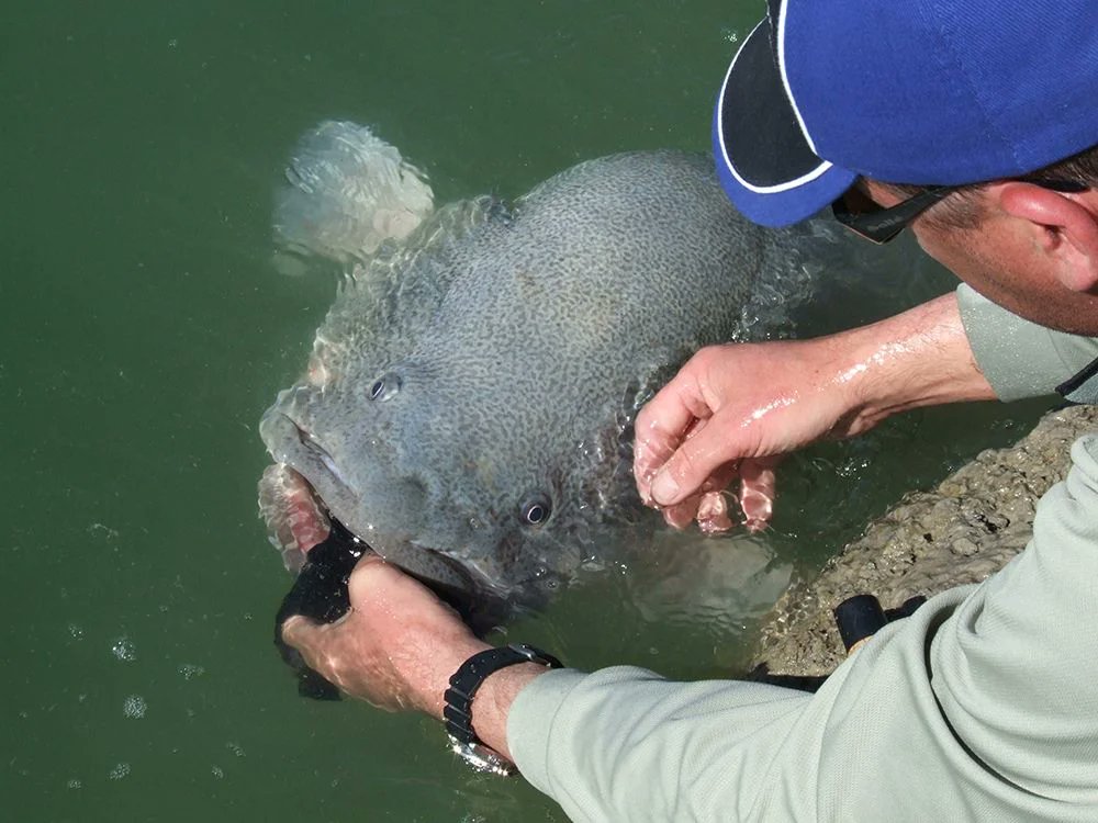 Finterest tweet media