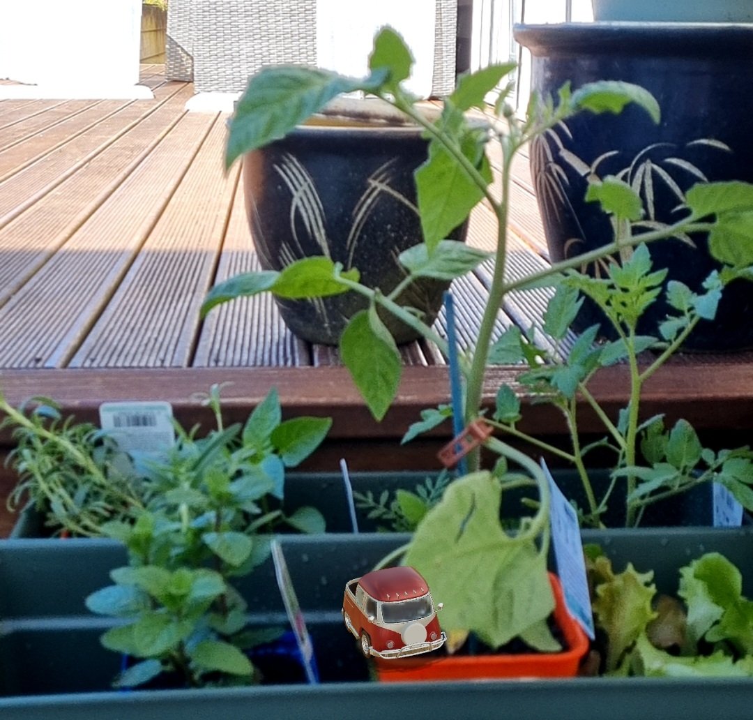Cherie_Reeraa's tweet photo. Day 2 and the garden infestation continues. It's hard to be mad when it's this cute #vanlife #realsmooth @ChaChaVansNFT https://t.co/C0PHHMbpHs