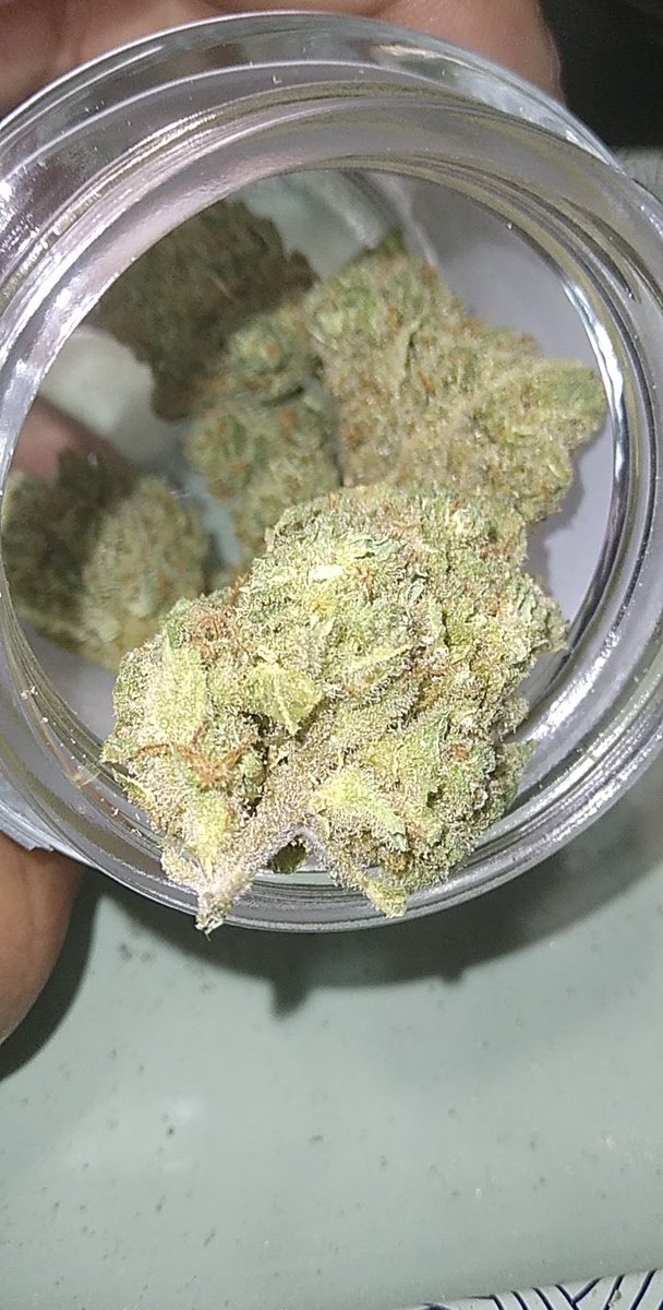 strainstarz's tweet photo. SUPER LEMON HAZE ........ https://t.co/Ok2j2mSNvq