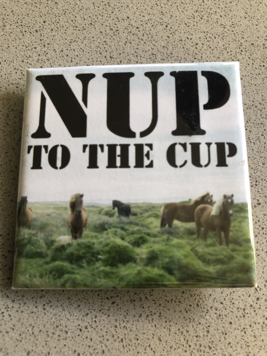 Happy my workplace has no horse racing related events this year #NupToTheCup