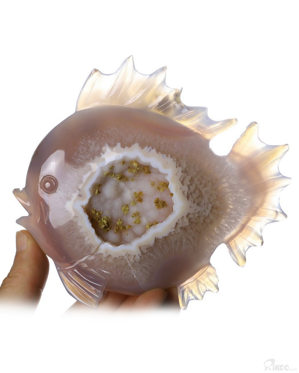 Rikoo_Gems's tweet photo. 5.5" Agate Geode Crystal Fish, Crystal Healing

https://t.co/nMIF8ox7t3

#agategeode #fish #otheranimal #geode #gems #gemstones #art #sculpture #crystals #carving #handmade #homedecor #craft #design #energy #healing #mineral #awesome #beautiful #nice #crystalhealing #amazing https://t.co/6TNcGjAR1l