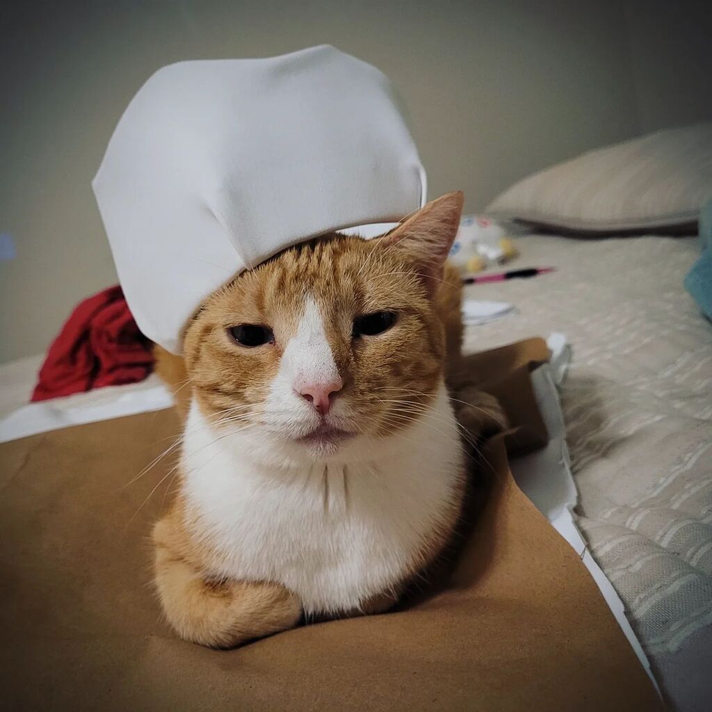 My princess 😻 instagr.am/p/CkZ124jDjhq/