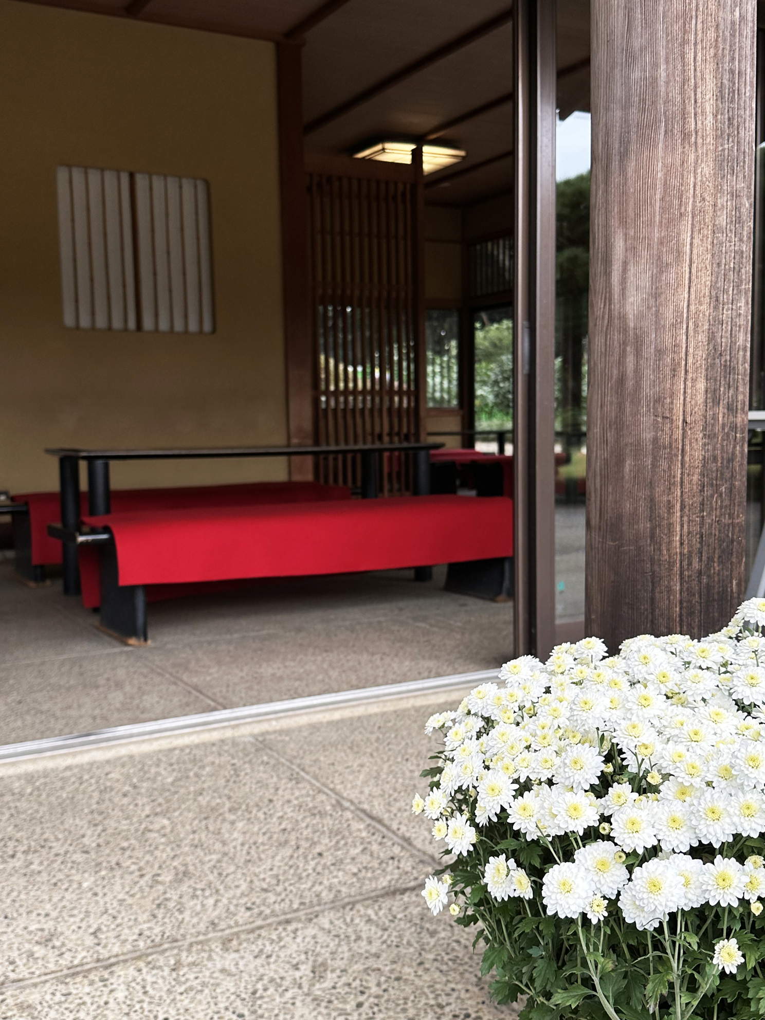 新宿御苑 自然情報 Sg Info Kyokai Twitter