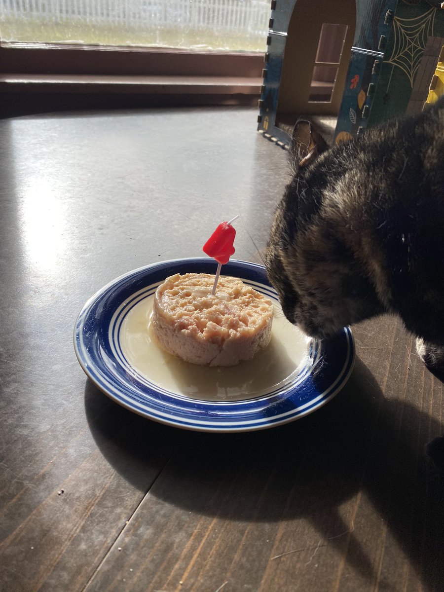 Blanca and Drusilla tweet media