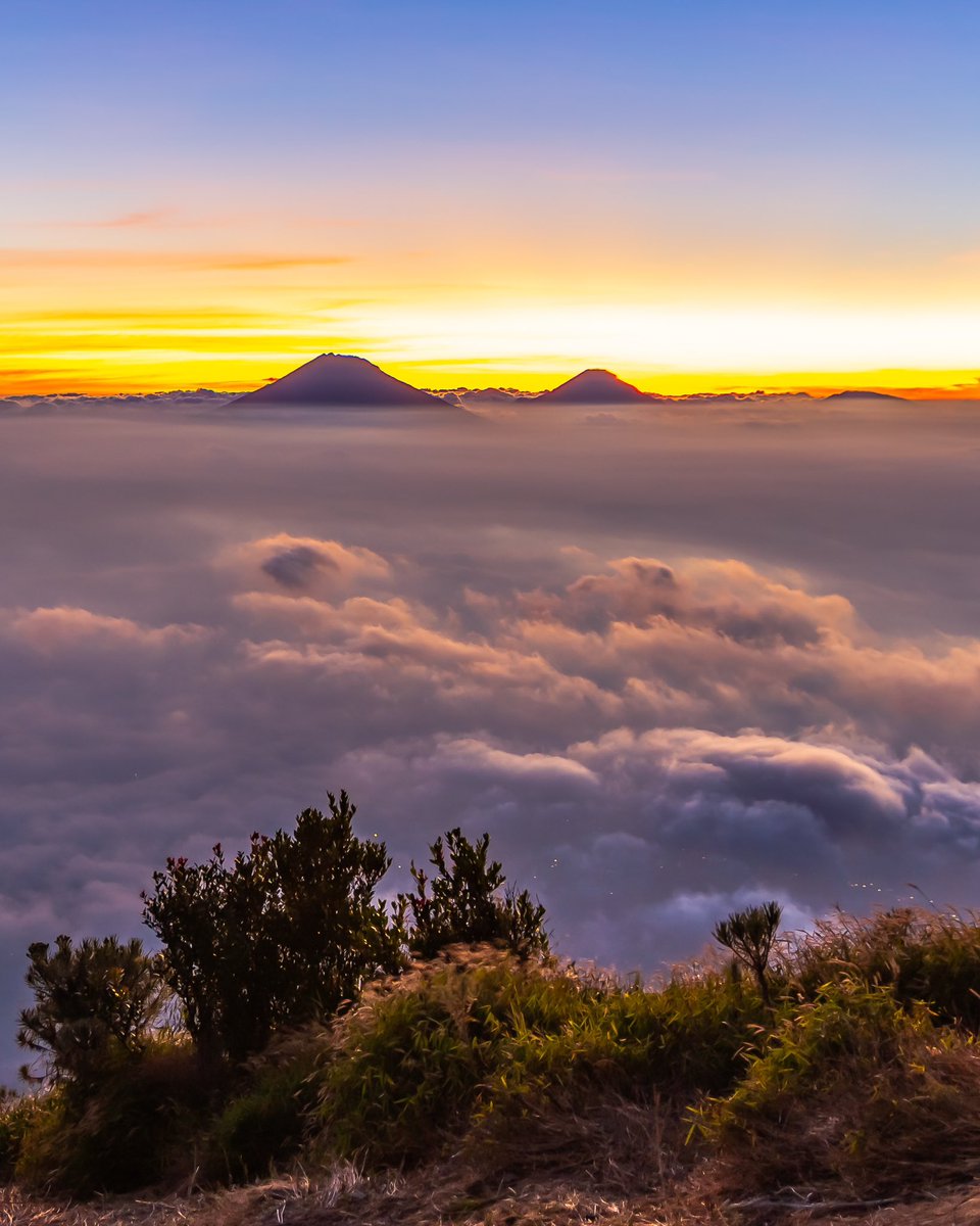 nov235711's tweet photo. Secuil keindahan panorama dari gunung #Merbabu via jalur pendakian resmi dusun #Suwanting
.
.
#merapi #sumbing #sindoro #prau #andong semua lengkap terlihat dari pos 3; tempat berkemah terakhir sebelum puncak https://t.co/9KAjHRQBjJ