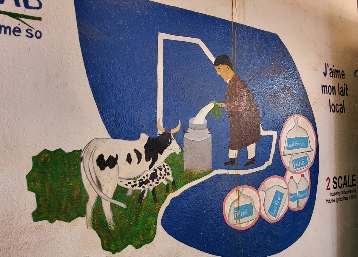 K_Tangri's tweet photo. Inspiring meeting with local milk value chain cooperative #Translait in #Mali which is provides vertically integrated services from production, transformation, sales to transportation. Exploring potential partnership for the development of a digital milk sales platform https://t.co/j3e6TSWyK4