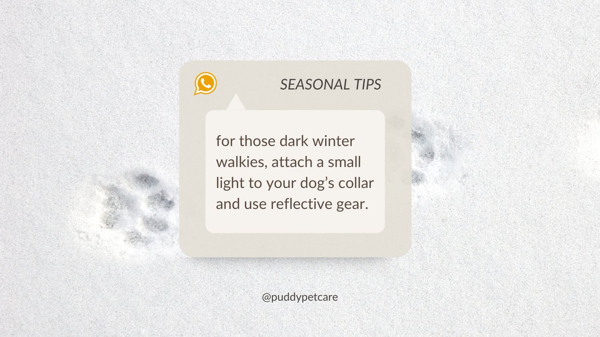 it's getting dark earlier each day, which means it's important that you and your pet are visible when walking at night.
consider attaching an led light to your four-legged friend's collar and a reflective collar or lead 🐶💡
#pettips #dogwalker #dogmom #simplesmartpetcare