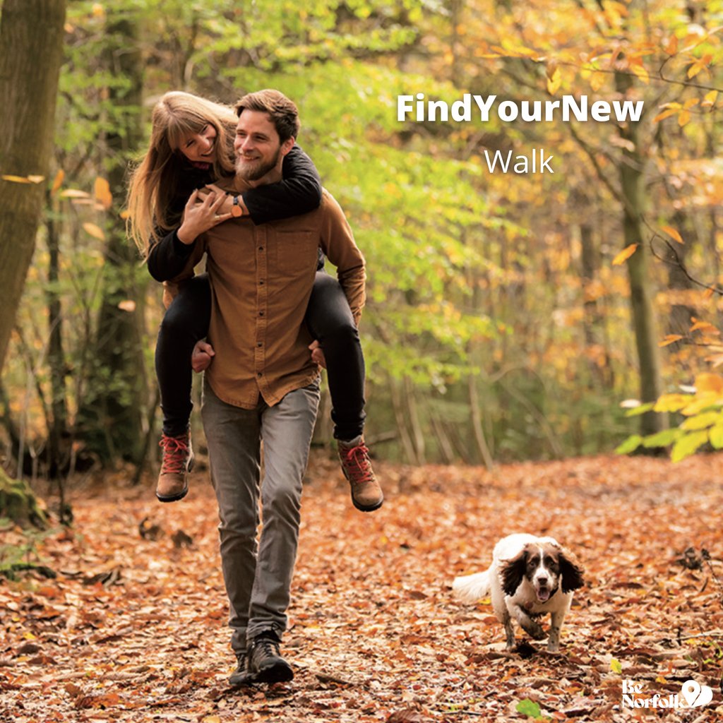 #FindYourNew Walk 

Enjoy the beautiful coast, country, fen and forest walking, and all set within an easy, rolling landscape.🚶‍♂️

#BeNorfolk #VisitNorfolk

benorfolk.co.uk