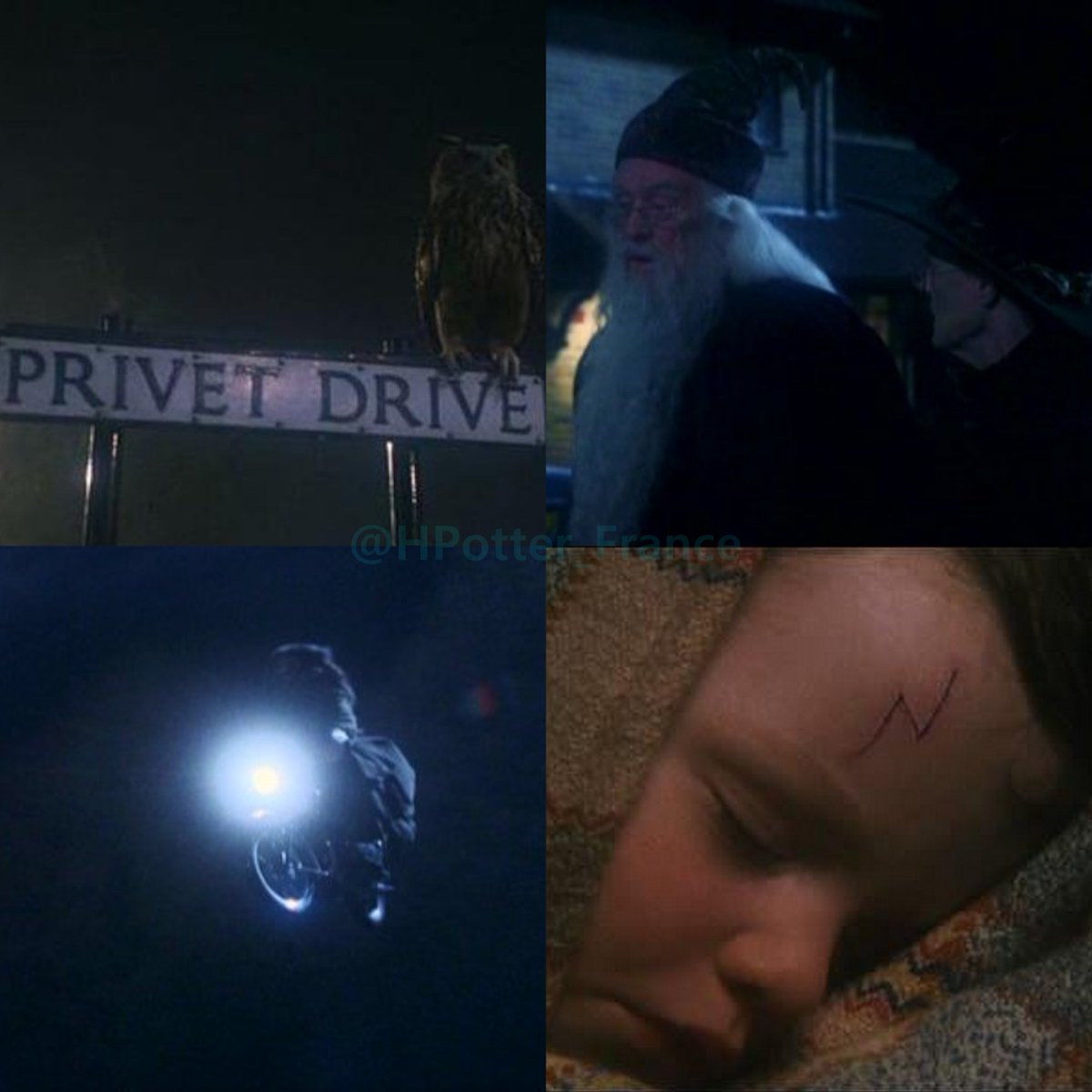 HPotter_France's tweet photo. 1er Novembre 1981 : Dumbledore, McGonagall et Hagrid déposent Harry Potter sur le seuil du 4, Privet Drive. https://t.co/wL50pjCc7X