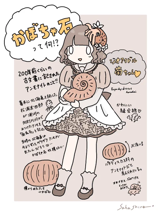菊ちゃんのハロウィンコスプレは「かぼちゃ石🎃」です!!
幕末期の北海道で発見されたパキディスカス科のアンモナイトのことです
菊も200年前の北海道に行って巨大かぼちゃ石収穫したい〜!!
#ハッピーハロウィン2022 #ジオアイドル 