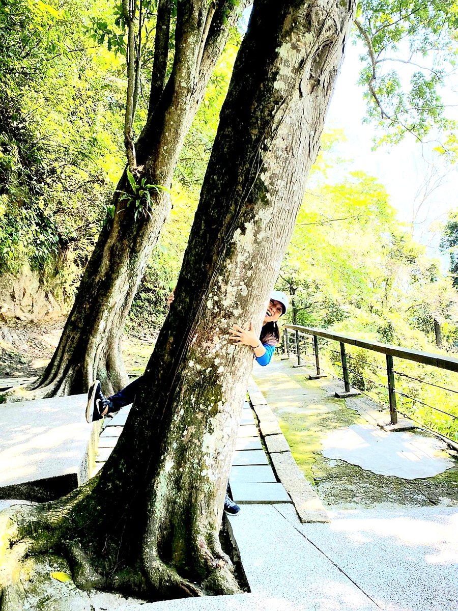 CathLu💎 tweet media