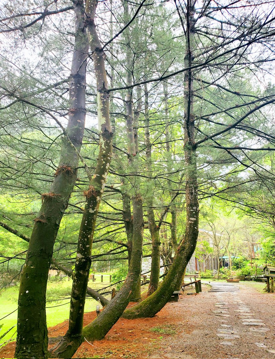 CathLu💎 tweet media