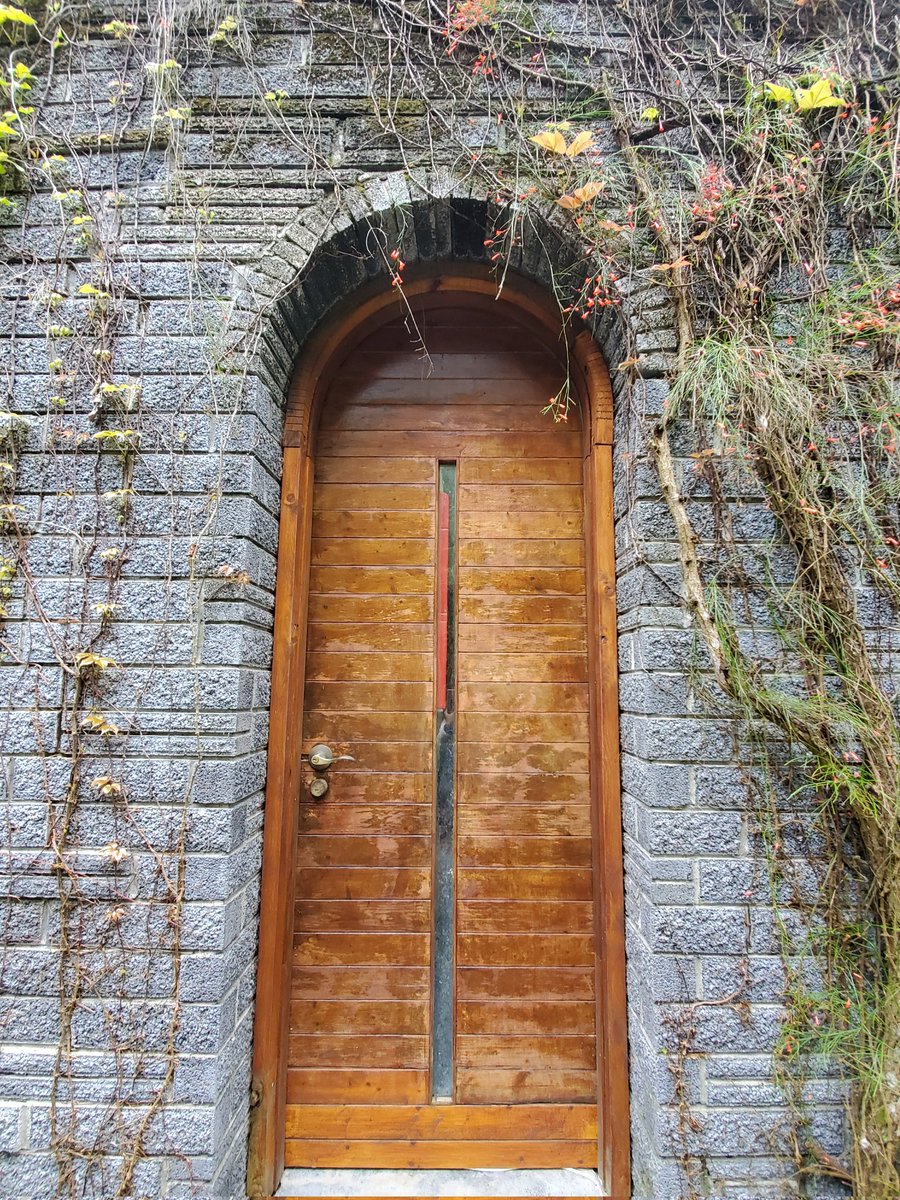 CathLu💎 tweet media