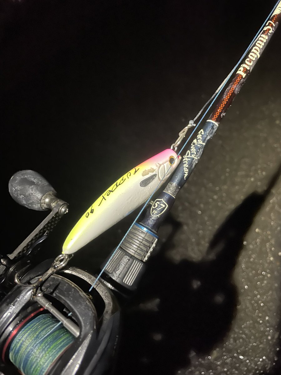 namatamanama's tweet photo. しごおわフィッシング倶楽部、、、デカいの反応悪かったので暗くなってから一口サイズで喰わせました。☔️🙏　
　
#鱸通信 
#seabass 
#tulalajp 
#bombada 
#picapau57 
#roughstyle 
#tupper90 
#雨の日スパイク長靴標準装備 https://t.co/5CUDmObz46
