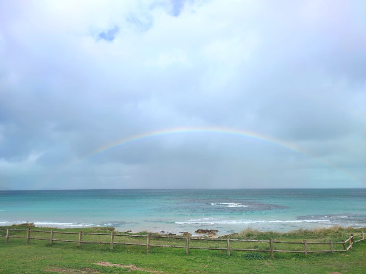 Paloma Cortina tweet media