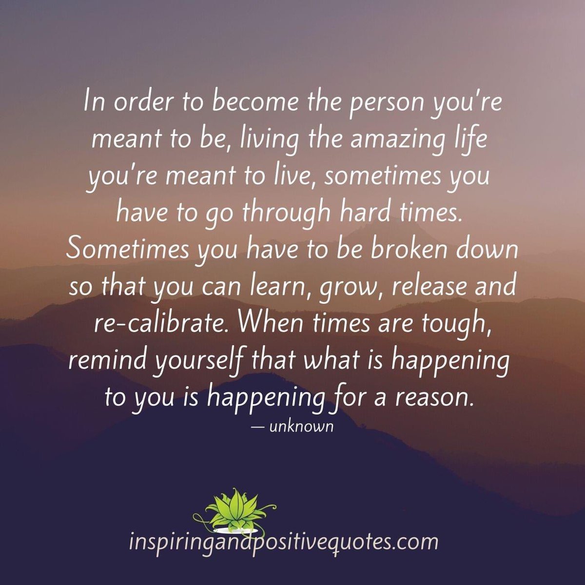 LISA ♌️ tweet media