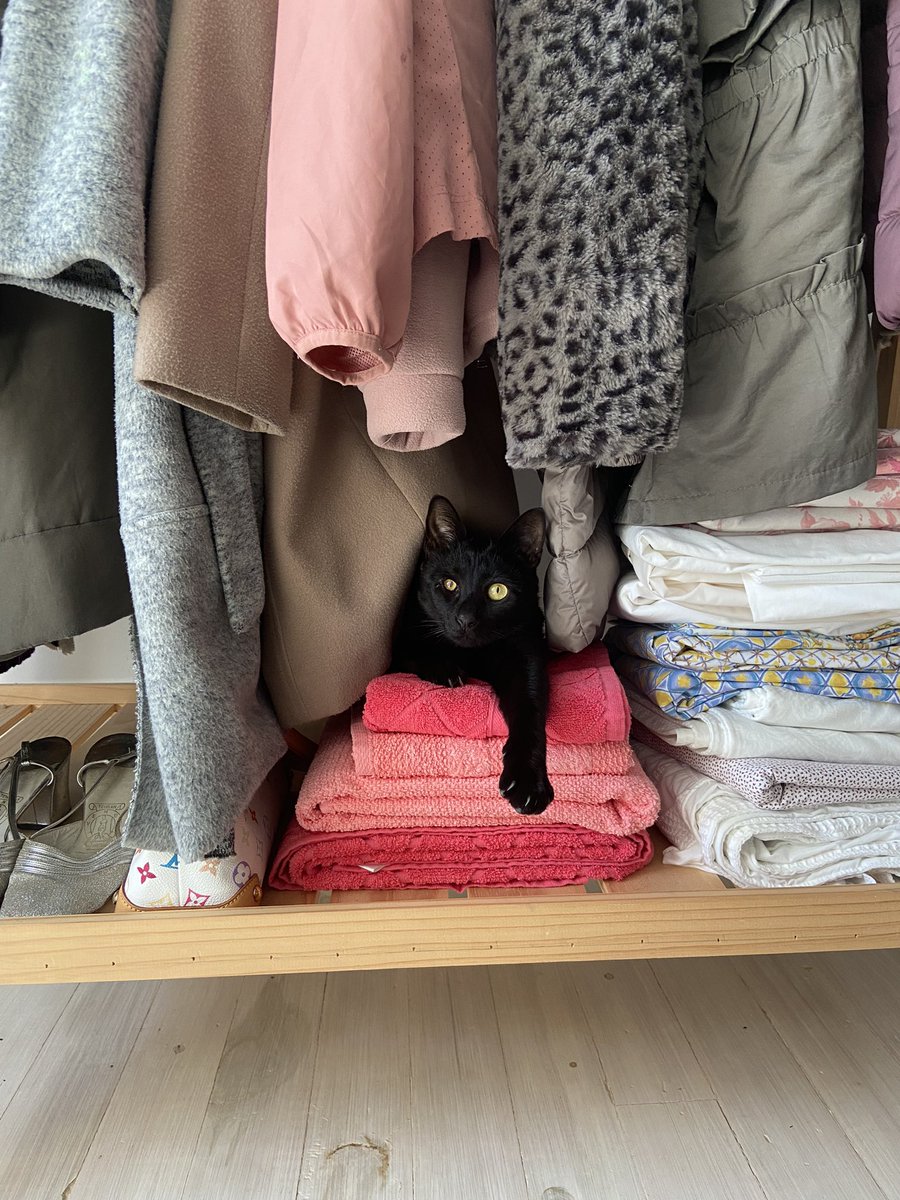 Adeline Levescot tweet media