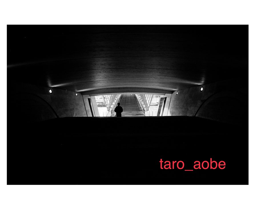 taro_aobe◇ tweet media