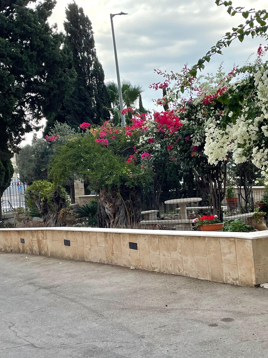 carmelinst's tweet photo. CARMELITE PILGRIMAGE TO HOLY LAND
We arrived on Mt. Carmel at Stella Maris - the mountain where it all began for the Carmelites. Pictures of Elijah's Cave, the Wadi-es-Siah, and the sanctuary of Muhraqa (battle between Elijah and the prophets of Baal. https://t.co/ORsE5QtX0S