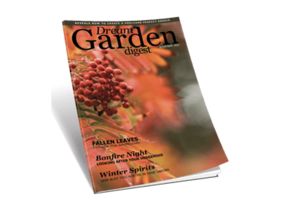 Scott Taylor tweet media