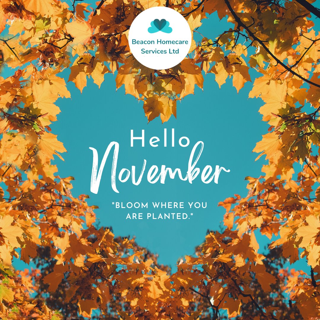 Goodbye October… Hello November 🍂🍁

#hellonovember #autumn #novembervibes #homecare #homecareservices #caregiving #homecarejobs #caregivers #caregiversupport  #healthcareworkers #communitysupportworker  #penrith #carlisle #edenvalley