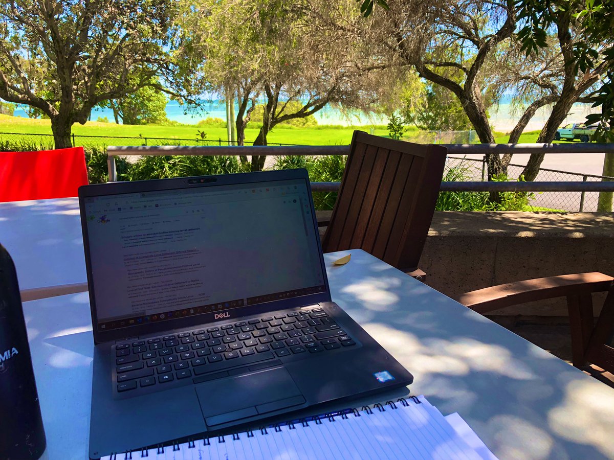 Inka Vanwonterghem tweet media