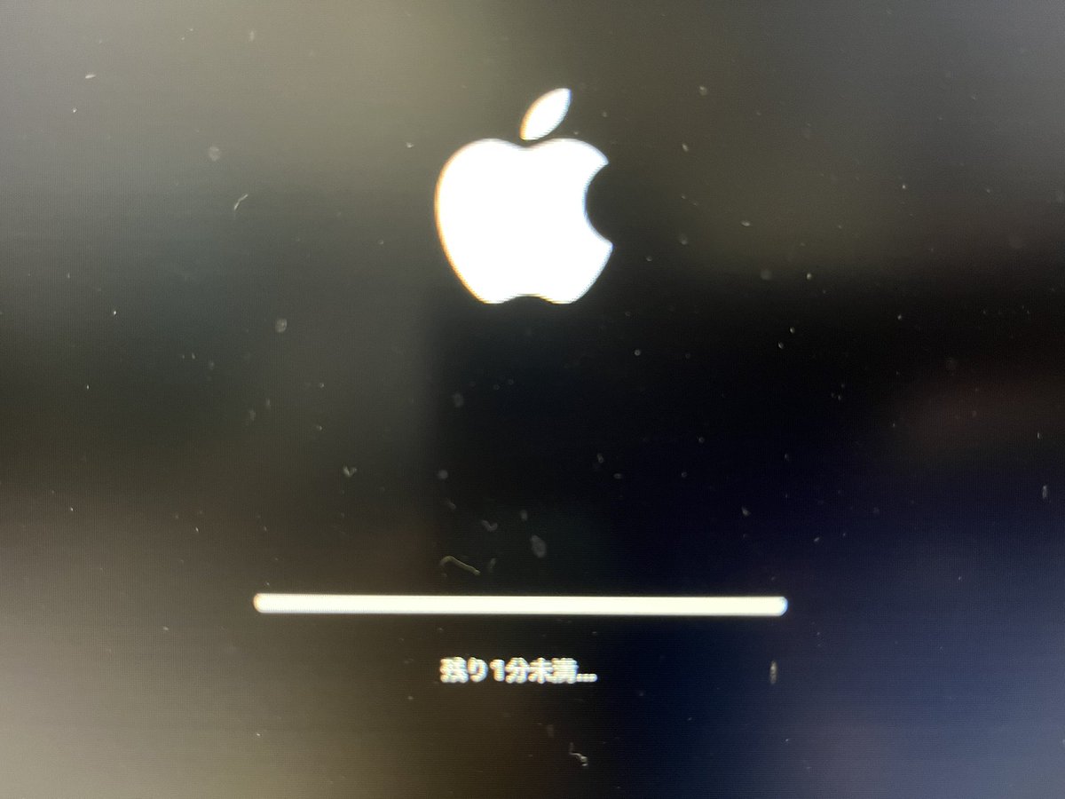 ninjin_san_'s tweet image. 60分経過…。

#あと何分？
#アップデート
#osインストール
#大丈夫か？
#まーまードキドキ